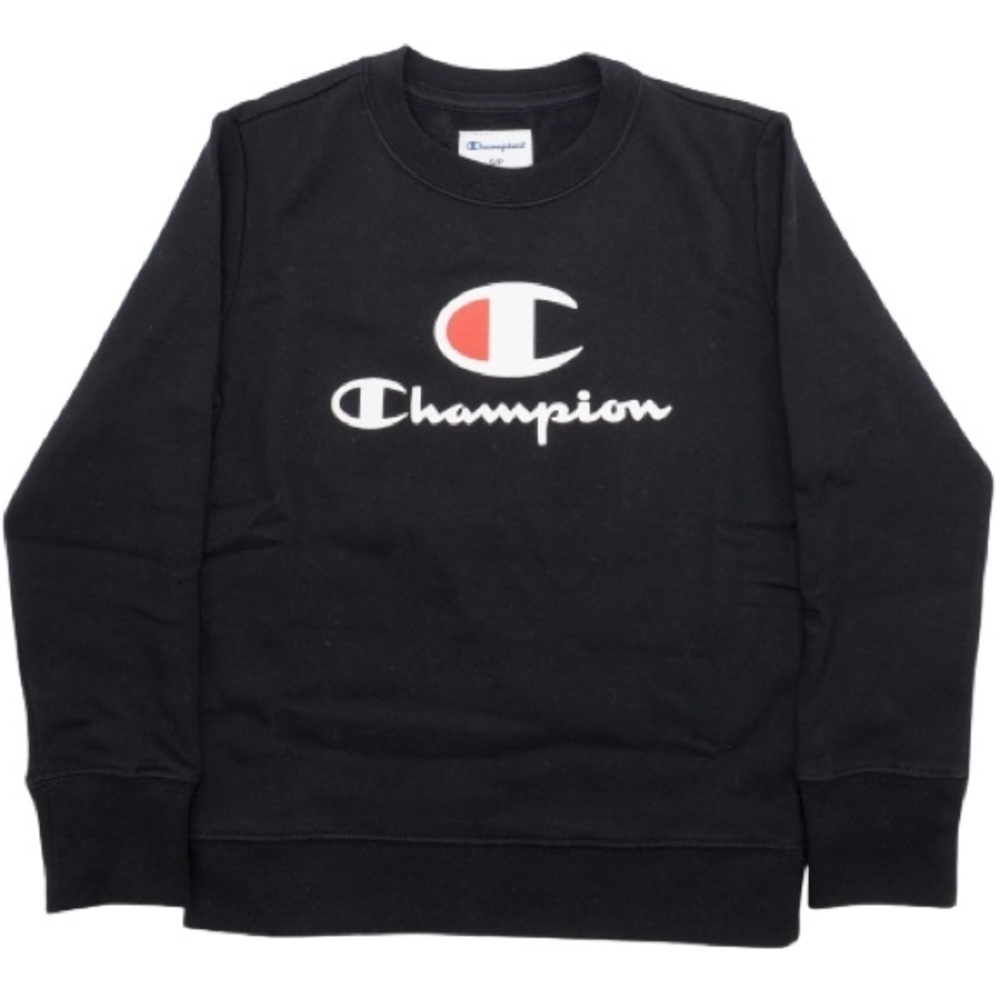 Champion sweater